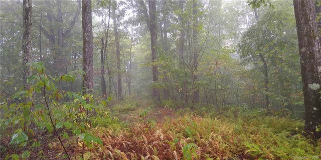 TBD Indian Camp Road - Photo 1