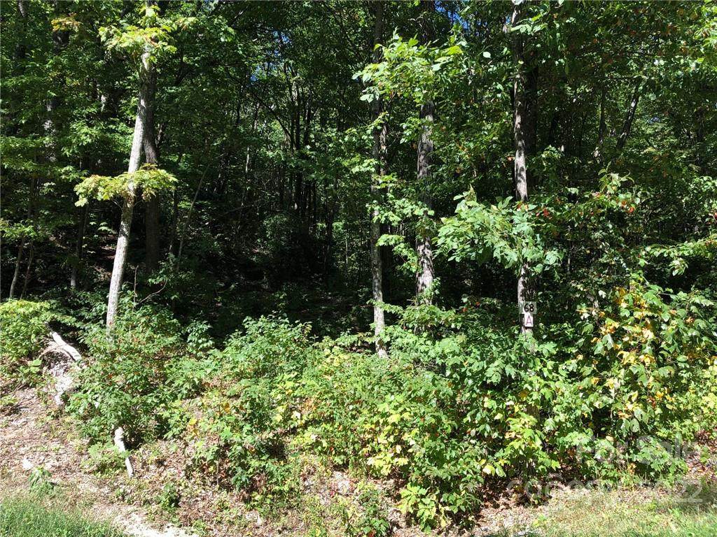 Lot #68A Marshall Ridge Road - Photo 1