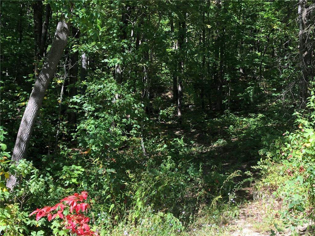 Lot #69 and 69A Marshall Ridge Road - Photo 1