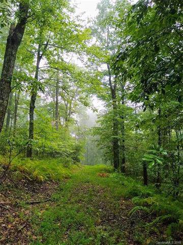TBD Indian Camp Road - Photo 1