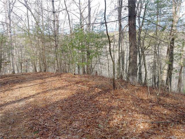 Lot #12 Wellspring Way - Photo 1