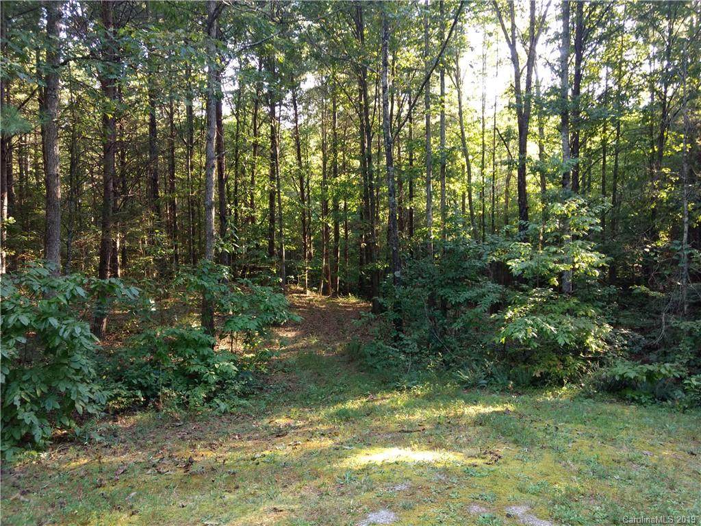 00 Trillium Trail - Photo 1