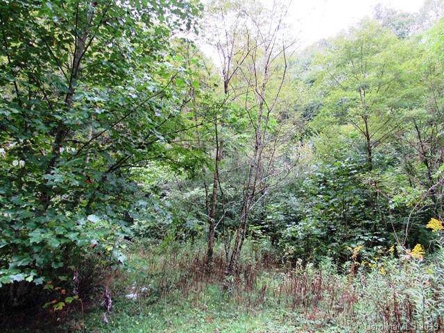 TBD Landis Lane - Photo 1