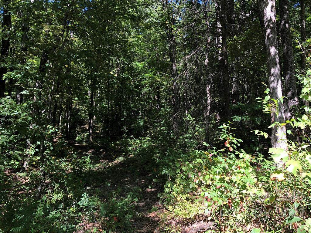 Lot #70 Marshall Ridge Road - Photo 1