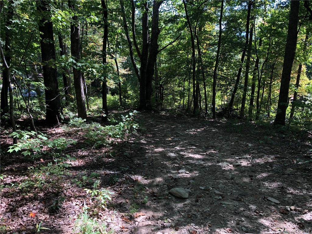 Lot #71 Marshall Ridge Road - Photo 1