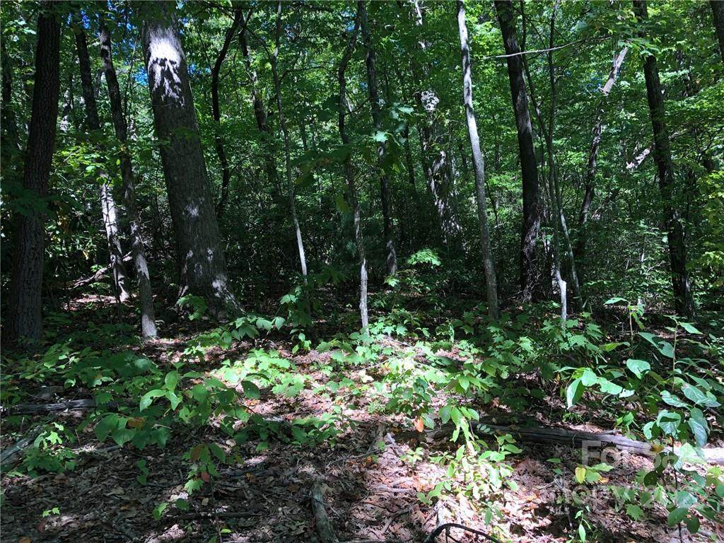 Lot #71 Marshall Ridge Road - Photo 1