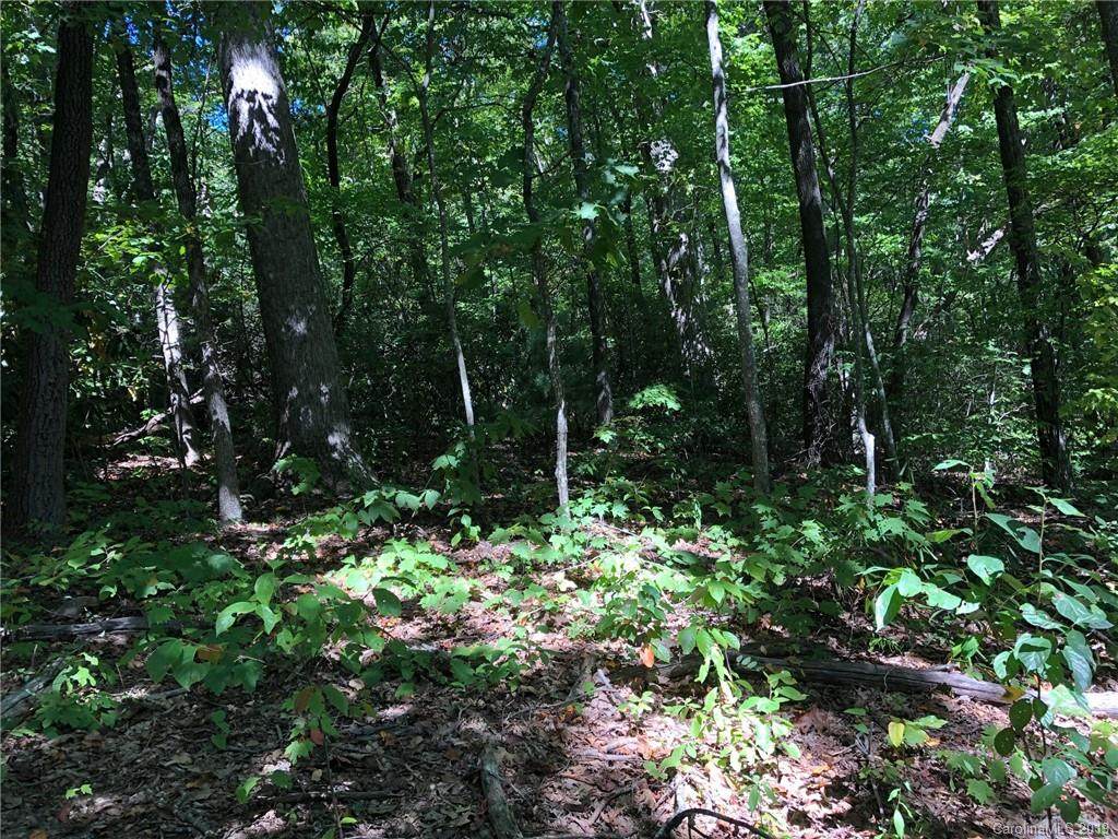 Lot #72 Marshall Ridge Road - Photo 1