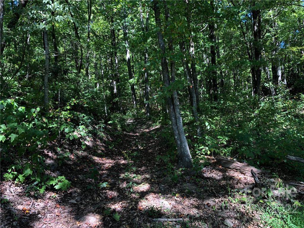Lot #72 Marshall Ridge Road - Photo 1