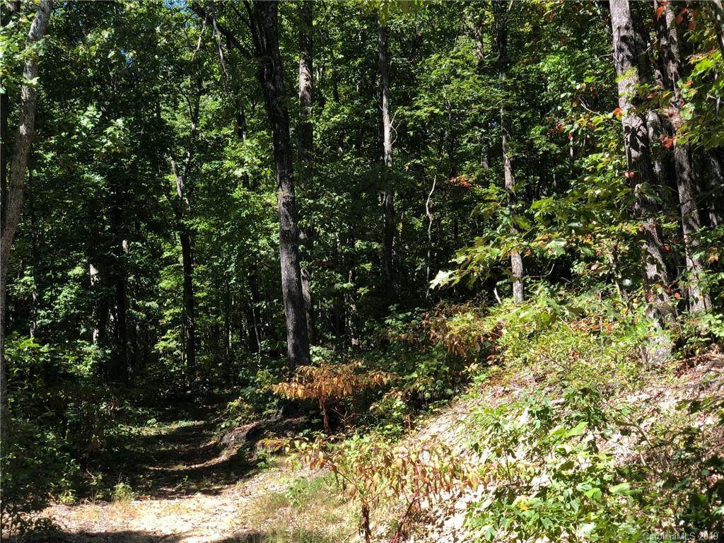 Lot #73 Marshall Ridge Road - Photo 1