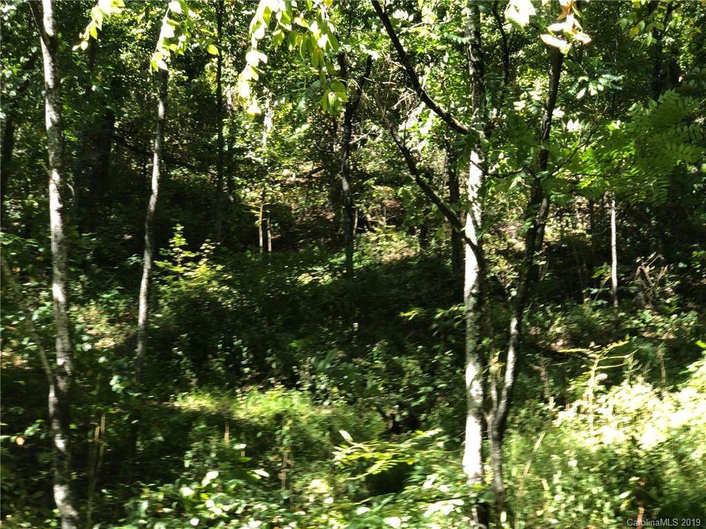 Lot #74 Marshall Ridge Road - Photo 1