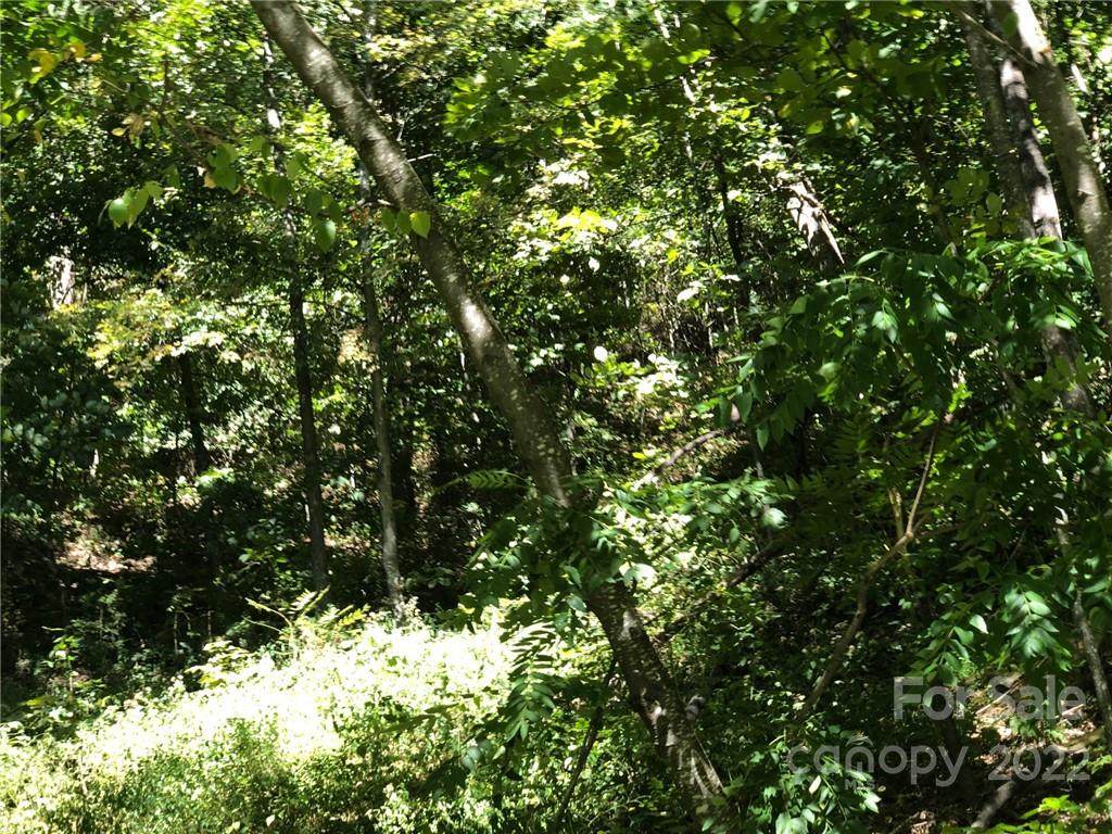Lot #74 Marshall Ridge Road - Photo 1