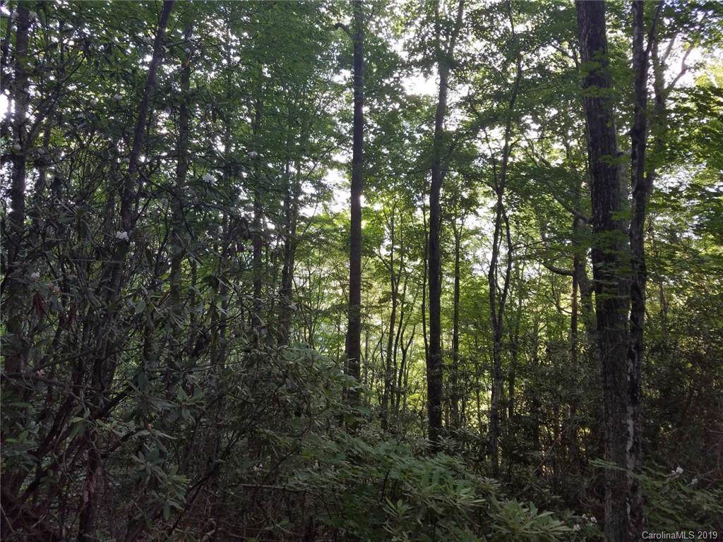 00 Big Ridge Road - Photo 1