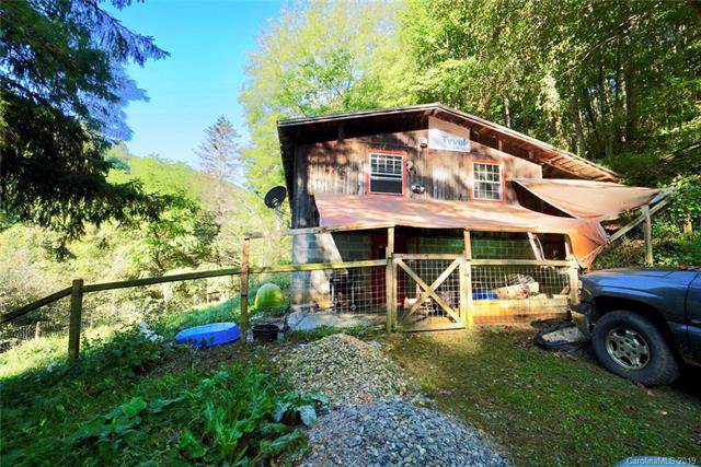 5922 Max Patch Road - Photo 1