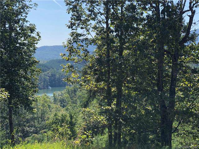 00 Mountain Parkway - Photo 1