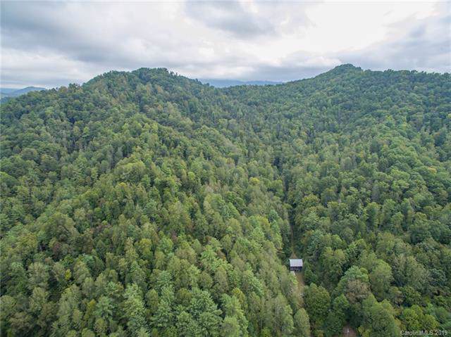 402 Pigeon Roost Road - Photo 1