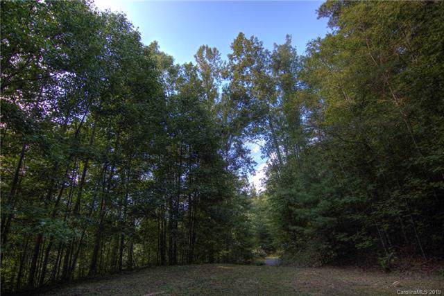 461 Dancing Leaf Lane - Photo 1