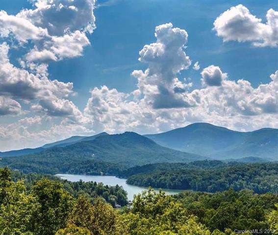0 Hawks Nest Trail - Photo 1