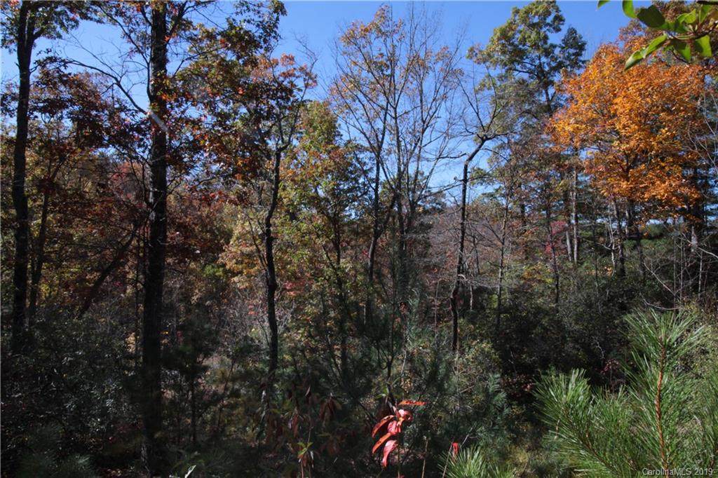 Lot 9 Kelly Mountain Road - Photo 1