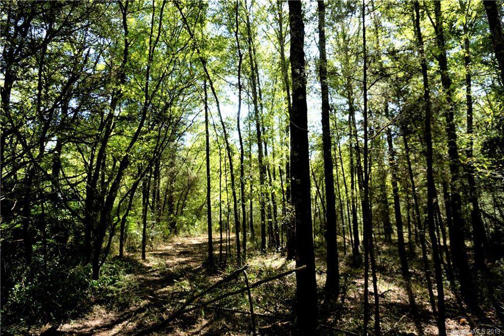 19.69 Ac Saluda Road - Photo 1