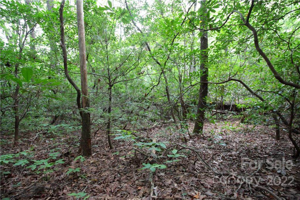 Lot 11 Upper Whitewater Road - Photo 1