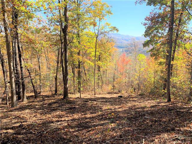 000 Laurel Creek Drive - Photo 1