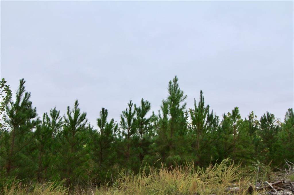 93+/- Acres Neelley Road - Photo 1