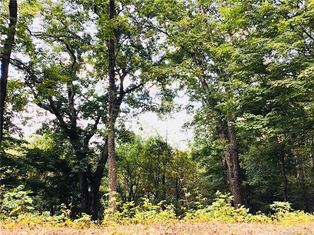 Lot A239 Walela Trail - Photo 1 Lot A239 Walela Trail - Photo 1
