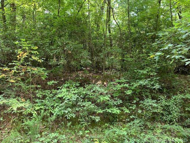 0000 Wildcat Boulevard - Photo 1
