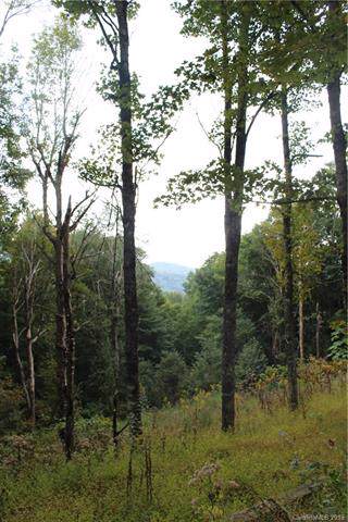 753 Hanging Rock Road - Photo 1