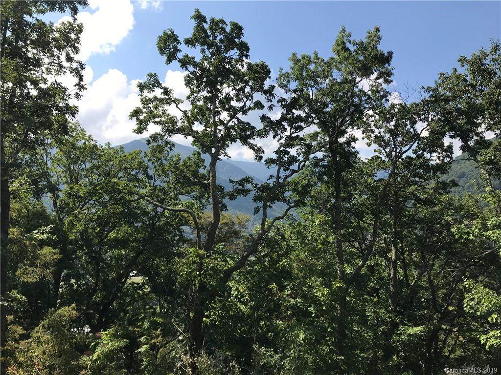 Lot 16 Cougar Lane - Photo 1