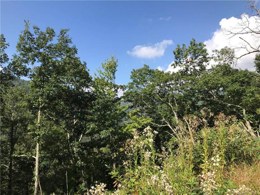 Lot 25 Cub Trail - Photo 1