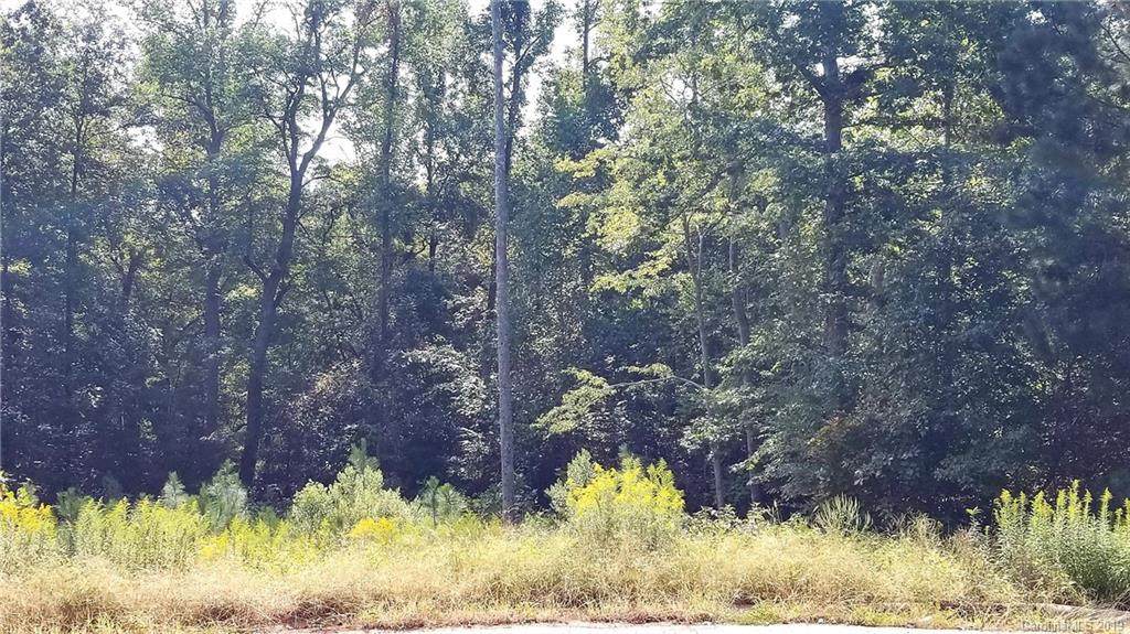 169 Pine Mist Drive - Photo 1