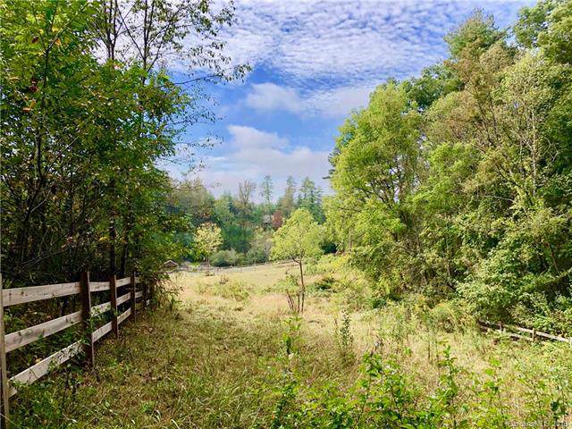 13 acre Sandollar Road - Photo 1