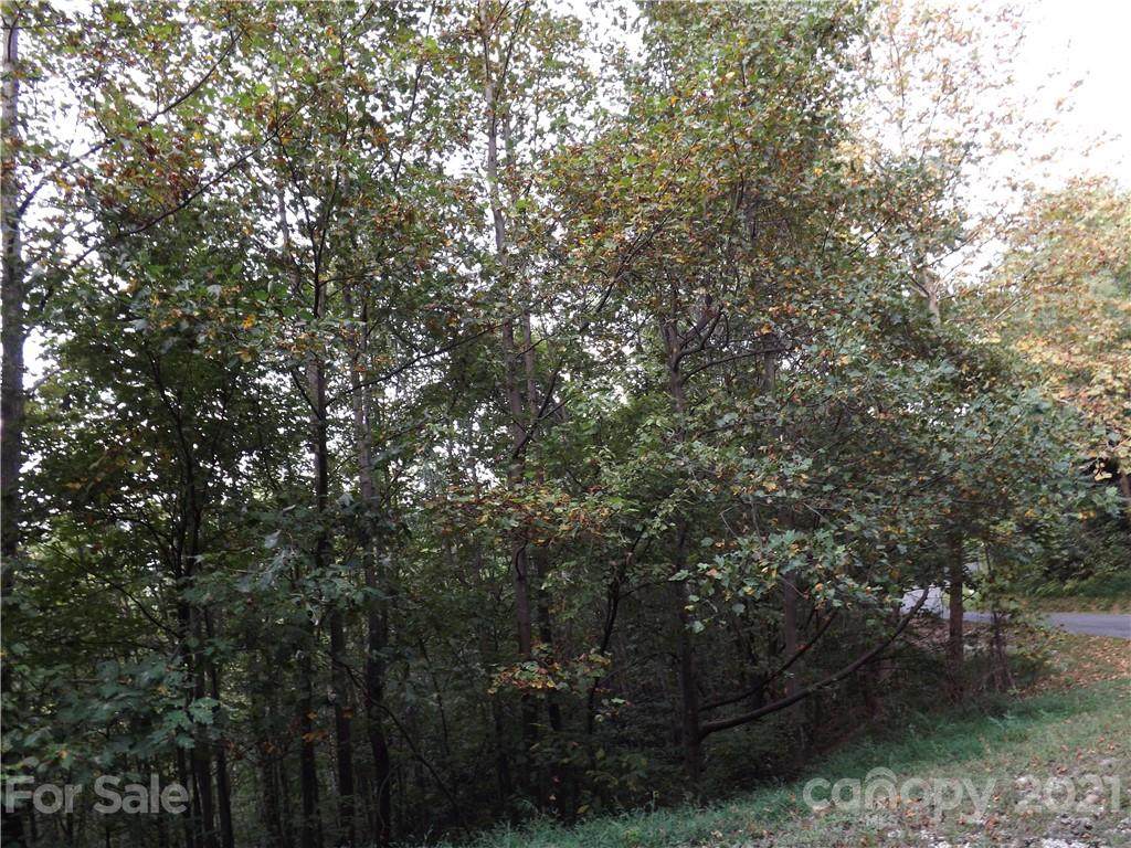 V/L Pisgah View Drive - Photo 1