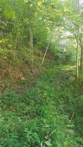 TBD Poplar Creek Road - Photo 1