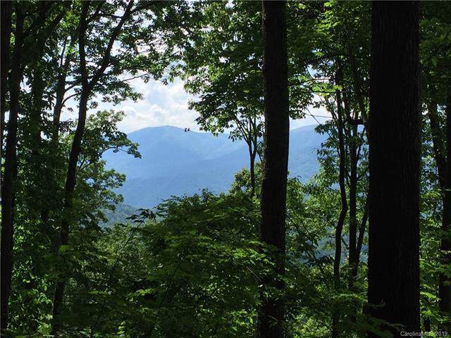 0121 Boar Ridge Road - Photo 1