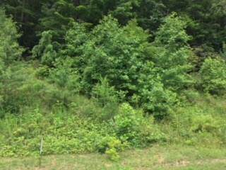 0000 Old Sampson Road - Photo 1