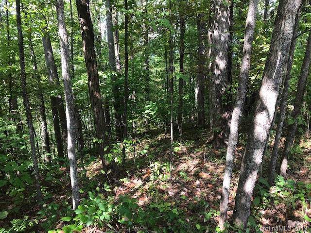 Lot 410 Kitty Lane - Photo 1