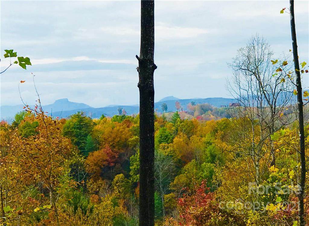 Lot 932 High Valley Way - Photo 1