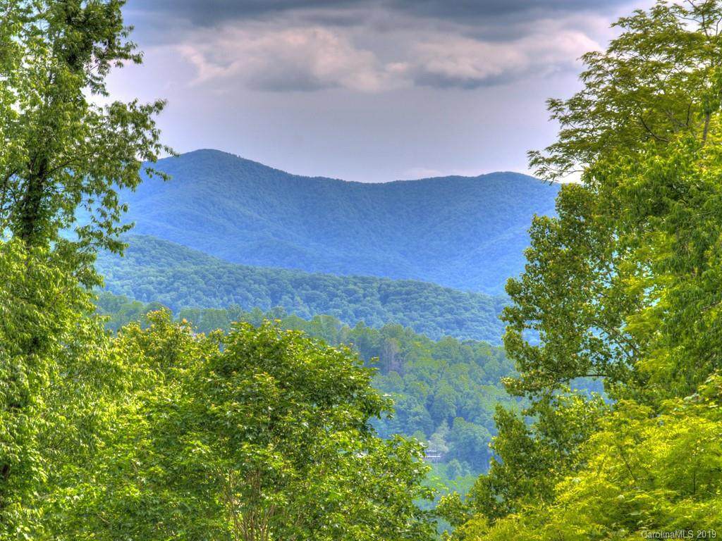 Lot 52 Twisted Trail - Photo 1