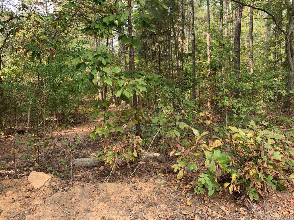 10052 Jim Sossoman Road - Photo 1