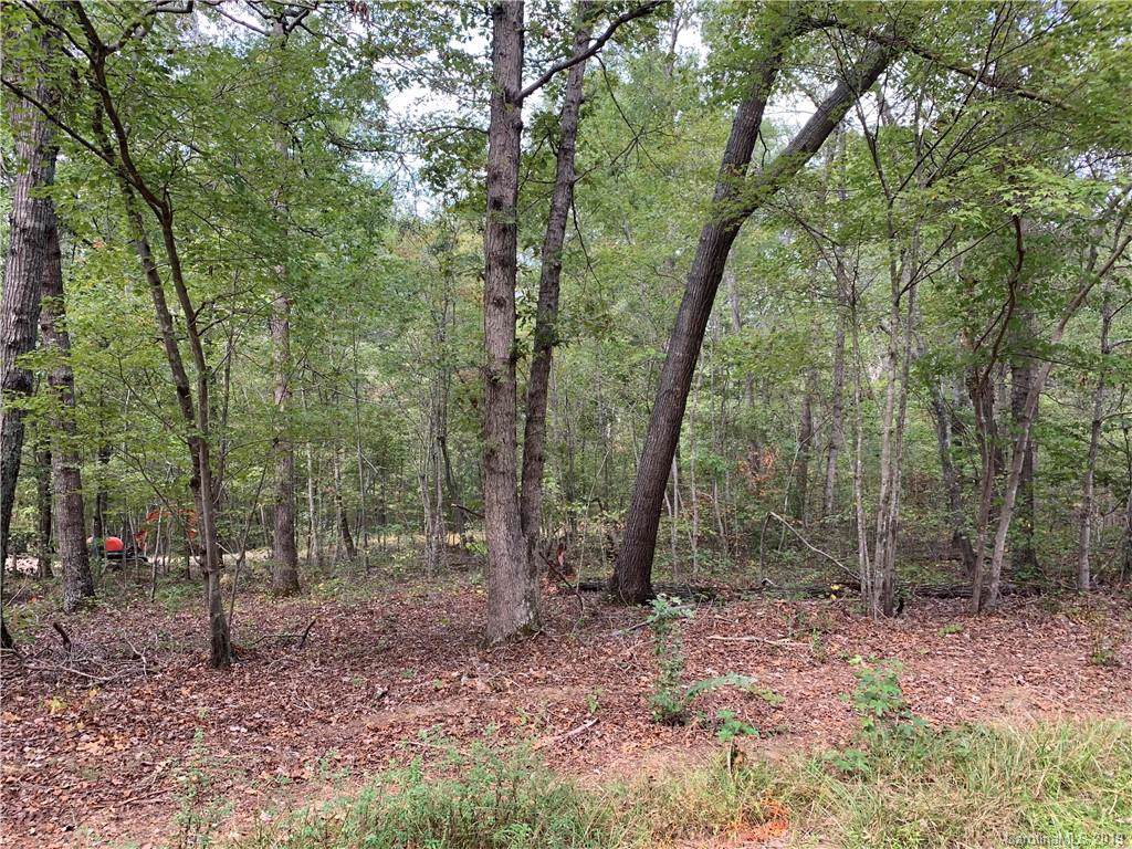 10068 Jim Sossoman Road - Photo 1