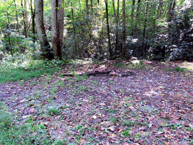 3420 Shook Cove Road - Photo 1