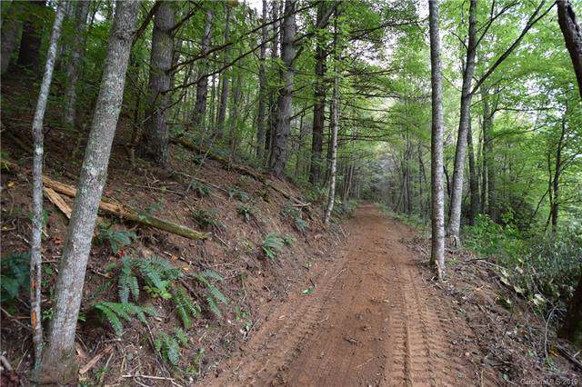 00 Indian Creek Road - Photo 1