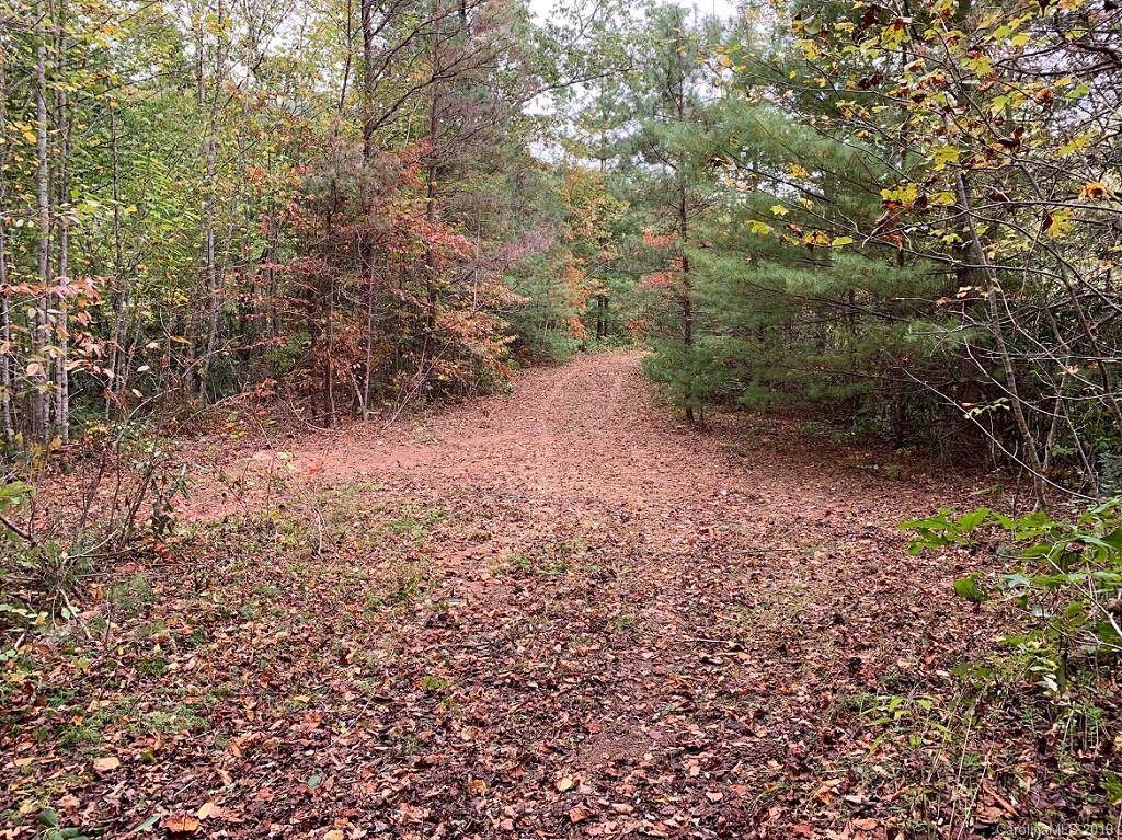 Lot #6 & #7 Briggs Cove Road - Photo 1