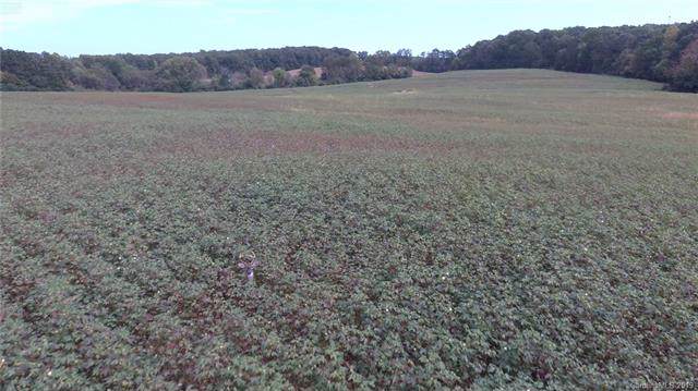 Vac Ridgecrest Road - Photo 1