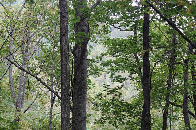 00 Alpine Ridge - Photo 1