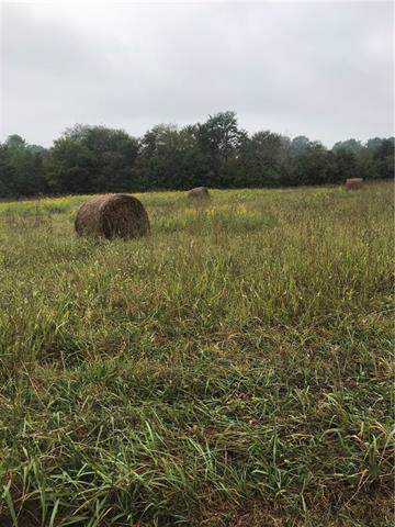 00 Old Homeplace Road - Photo 1