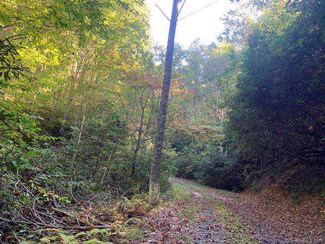 TBD Pridmore Hollow Road - Photo 1
