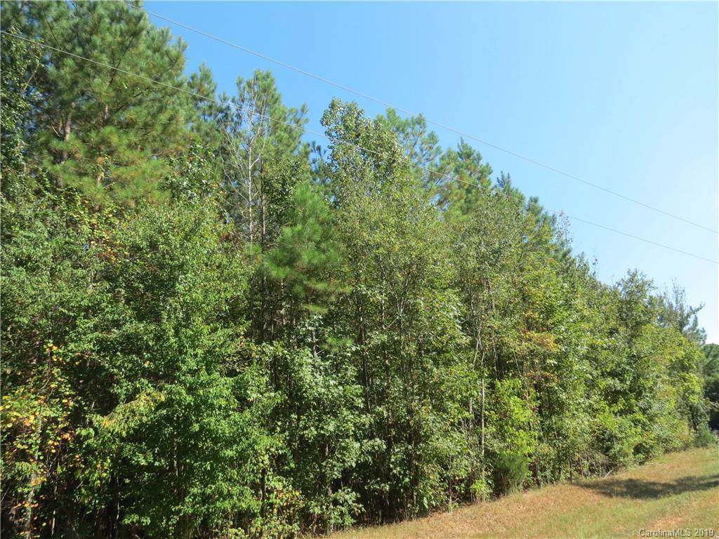 000 Otis Dellinger Road - Photo 1